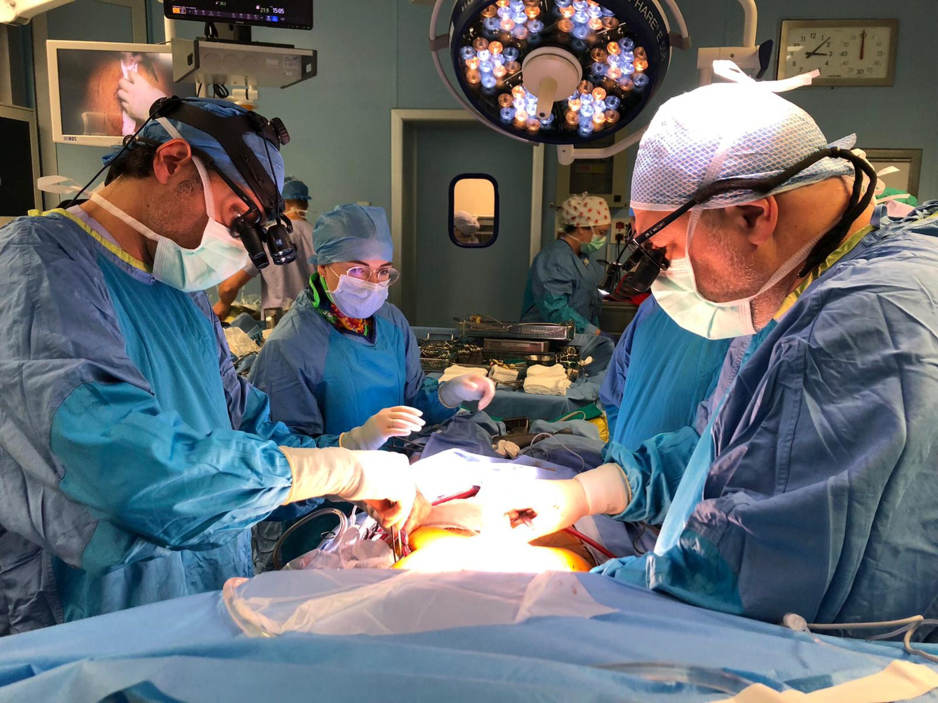l'aorta diventa 'organo', nuove linee guida internazionali
