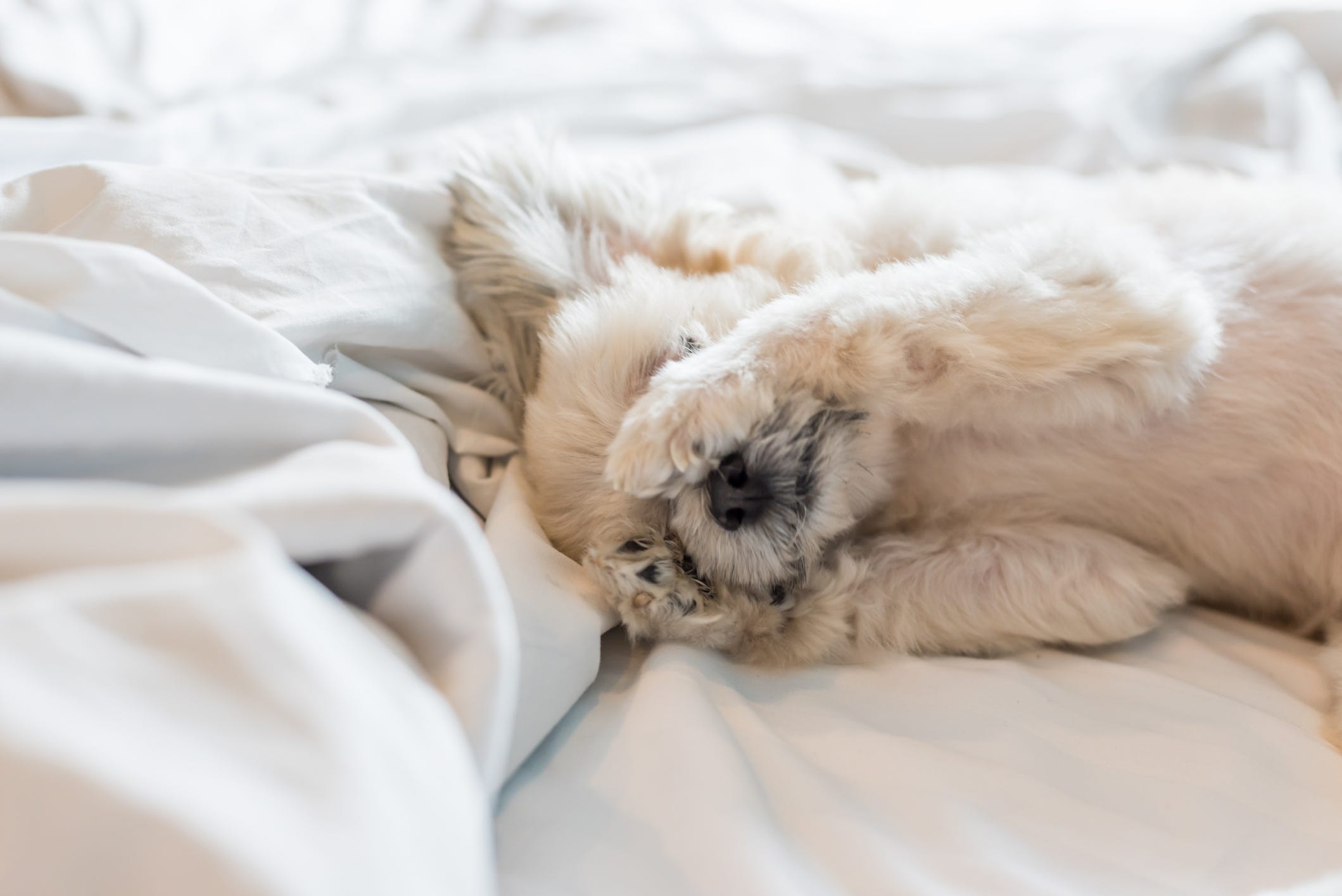 Time change 2024 to spring forward next week. When clocks move for