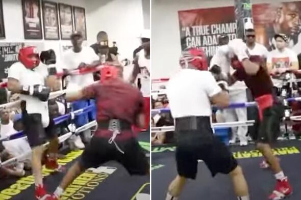 Ryan Garcia Leaks Sparring Footage Of Devin Haney And Gervonta Davis ...