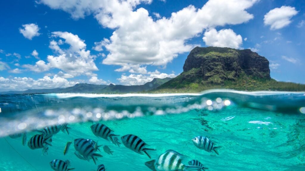 <p>A tropical paradise awaits….</p><p>As well as being a popular vacation and honeymoon destination, Mauritius is loved for its safe environment and high-ranking infrastructure. </p><p>The cost of living is also low, and there are universal healthcare options for low-income citizens and expats, as well as more extensive private healthcare packages.</p>