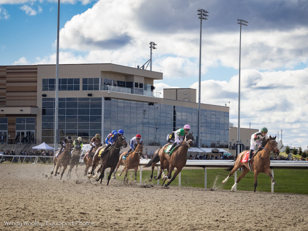 turfway-park-winter-stakes-schedule-includes-new-1-million-synthetic