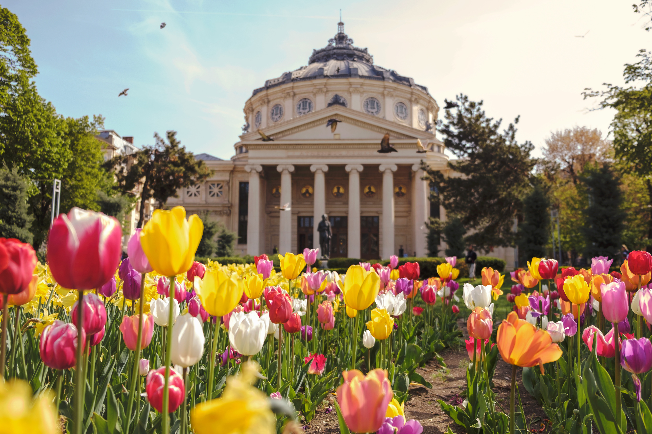 <p>Romania is far from the tourist trail, and that also goes for the capital city. However, Bucharest makes for a nice little spring visit. The temps are pleasantly in the 70s, perfect for strolling streets best explored on foot. </p><p>You may also like: <a href='https://www.yardbarker.com/lifestyle/articles/20_foolproof_crockpot_dump_recipes_you_can_try_030124/s1__39117815'>20 foolproof crockpot dump recipes you can try</a></p>