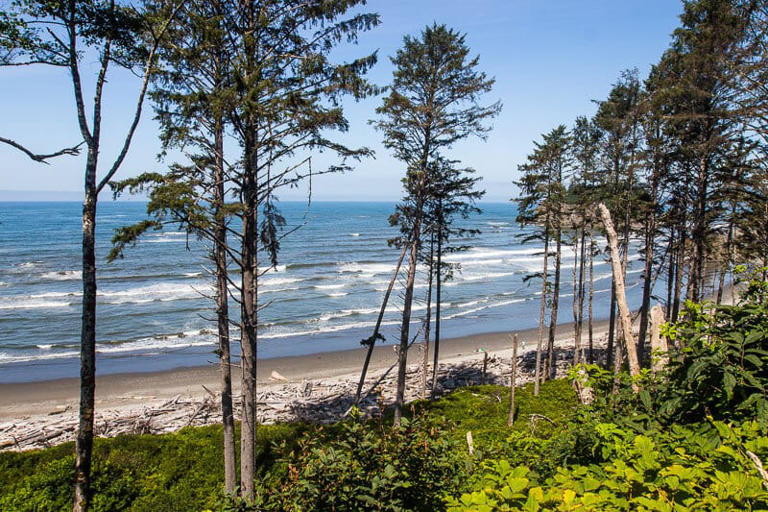 Guide To Olympic National Park: Things To Do + Tips