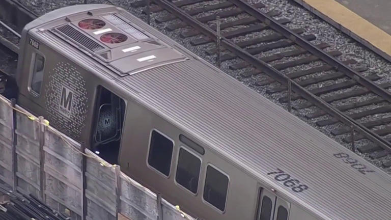 Teen girl dies in apparent Metro train surfing incident in