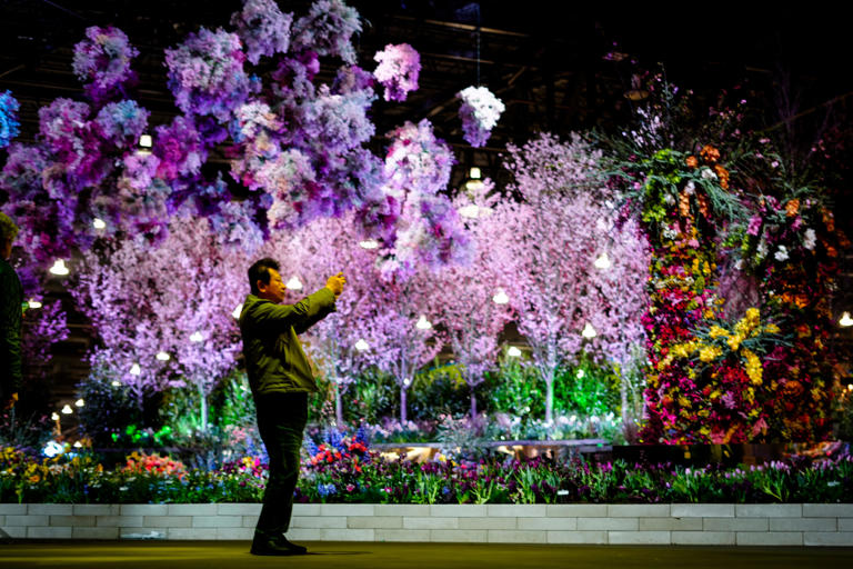 11 things not to miss at the 2024 Philadelphia Flower Show