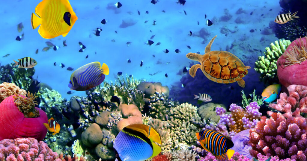 <p><span>Blue water and beautiful fish are calming, but we don't need to escape to a beach to get the benefits. Spend time at an aquarium and watch them move gracefully through water, completely unbothered by the world's chaos. One </span><a href="https://www.sciencedaily.com/releases/2015/07/150729215632.htm#.VcI68NhoJ9Y.facebook"><span>study</span></a><span> found that being around and watching sea creatures noticeably lowered people's blood pressure and heart rate. </span></p>