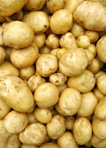 geheimtipp: so halten ihre kartoffeln ewig