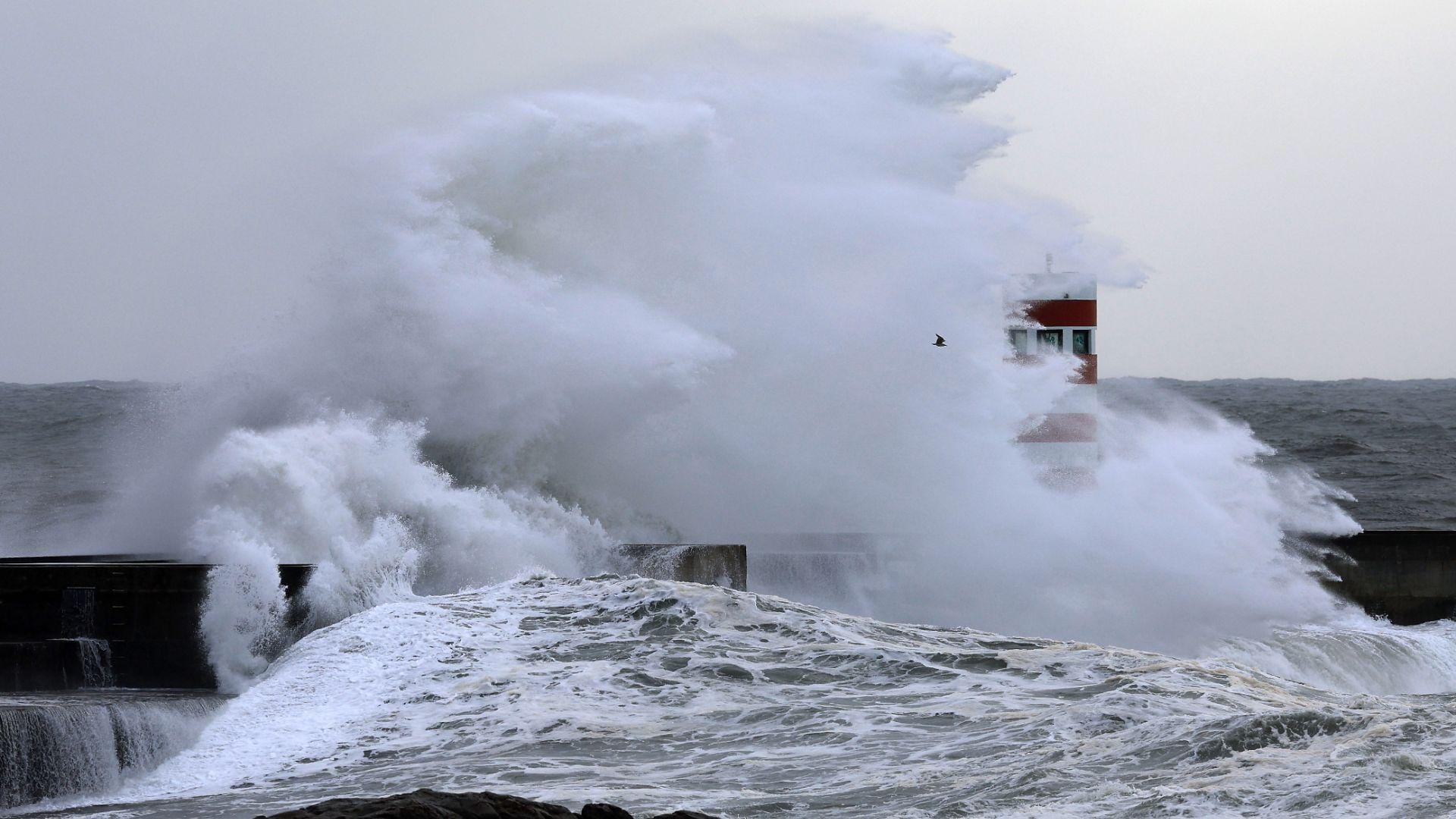 agitação marítima com ondas até dez metros: sete distritos estão sob aviso laranja