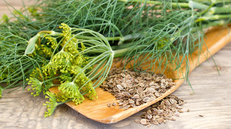 13 Best Substitutes For Dill, According To A Chef