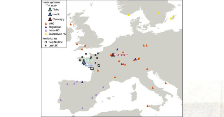 Inbreeding Was Avoided by Stone Age Hunter-Gatherers Through Social ...