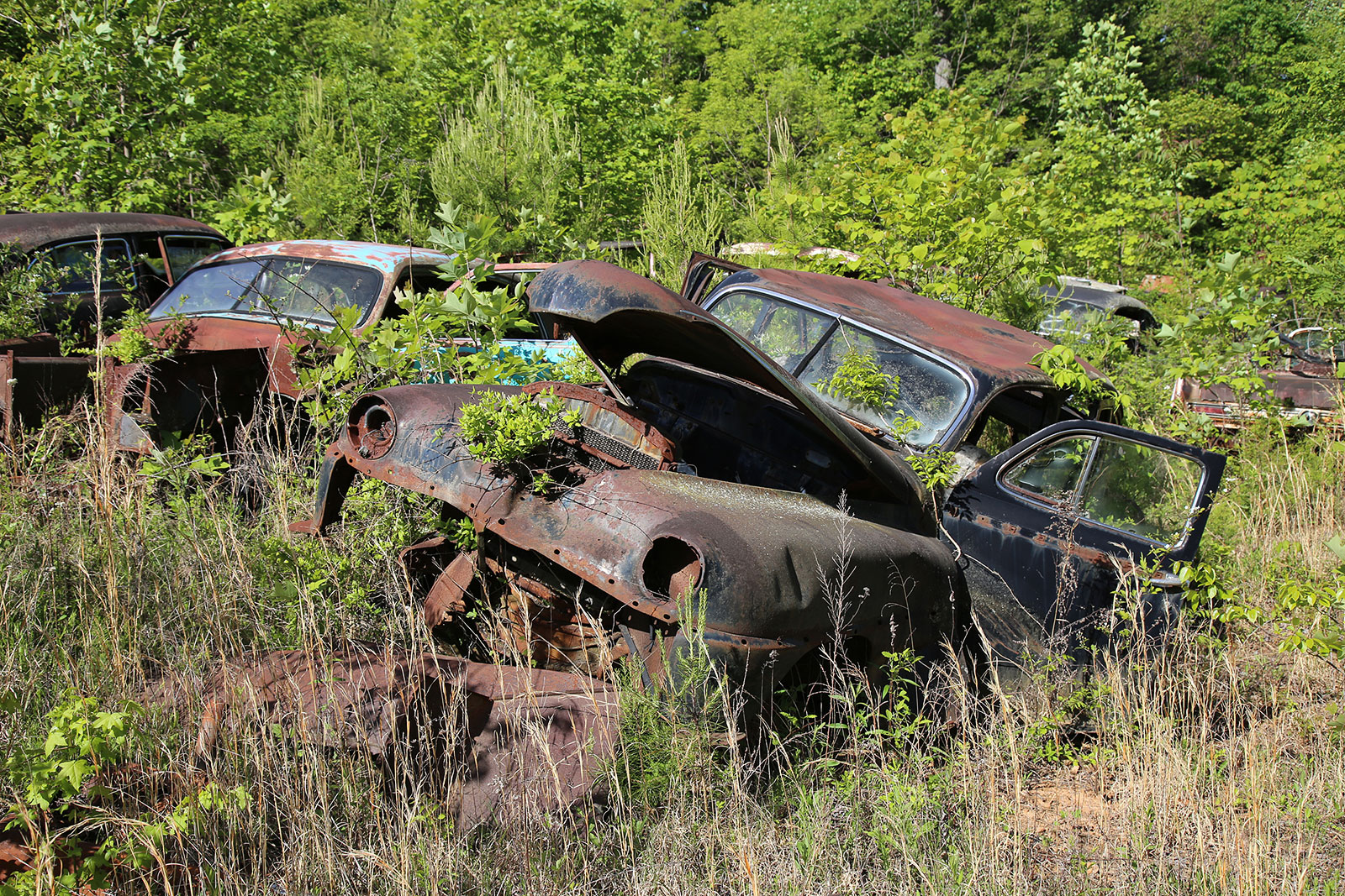 The Interesting Junkyard Discoveries of Sonny’s Auto Repair in Blaine ...