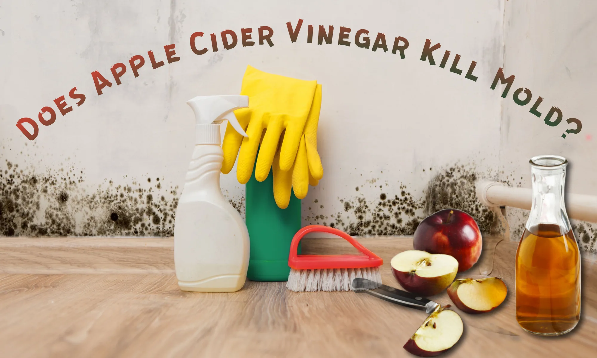 Does Apple Cider Vinegar Kill Mold   BB1jd7FJ.img