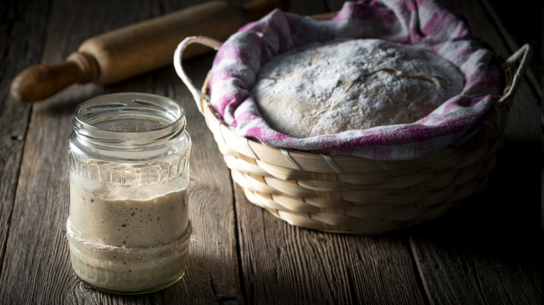 When And How To Feed Your Sourdough Starter