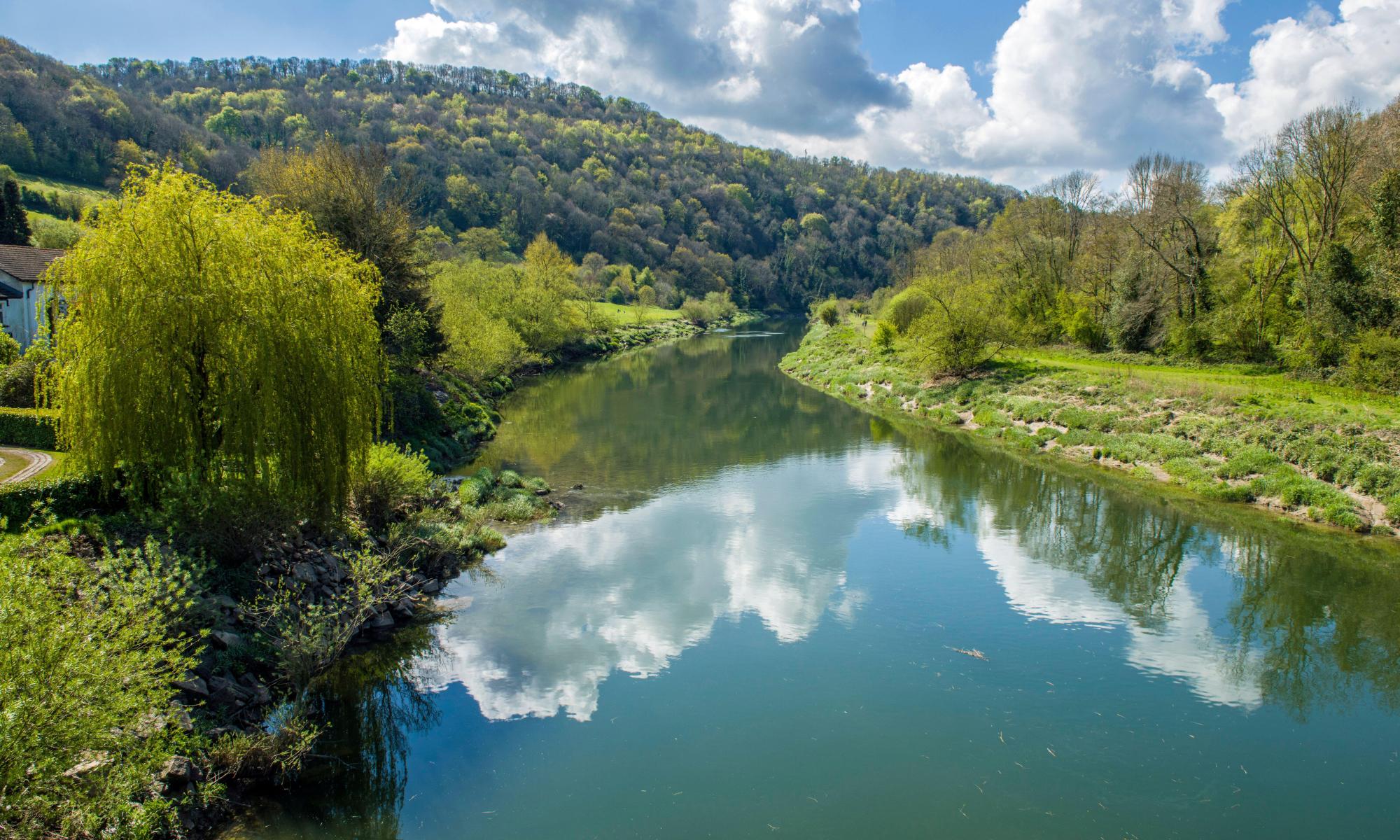 wwf shelved report exposing river wye pollution ‘to keep tesco happy’