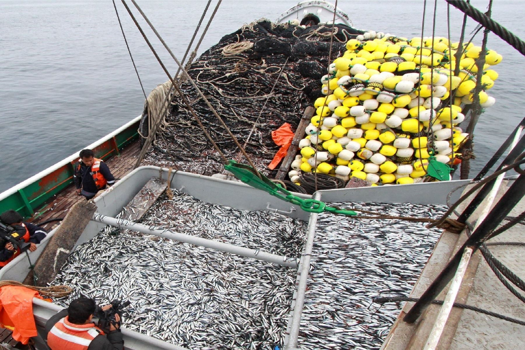 produce autoriza inicio de la primera temporada de pesca de anchoveta 2024 en zona sur