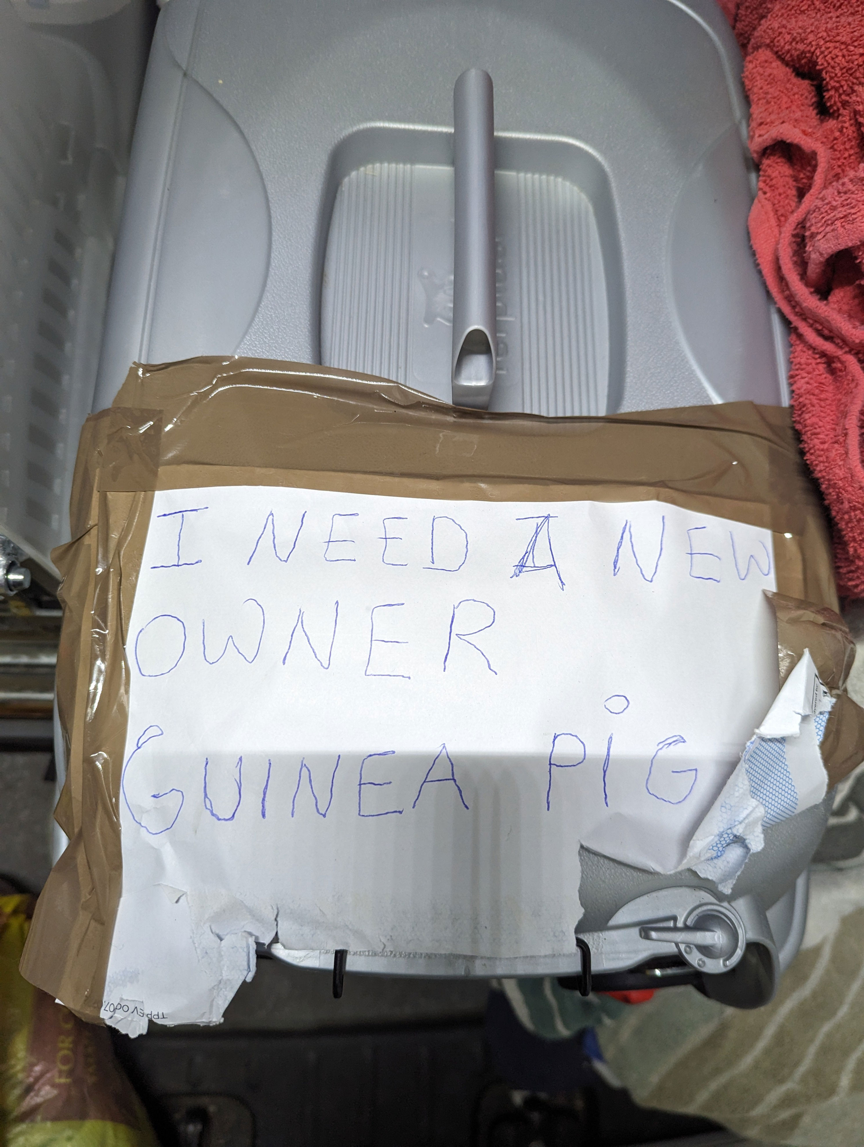 guinea pig abandoned with heartbreaking note at london tube station