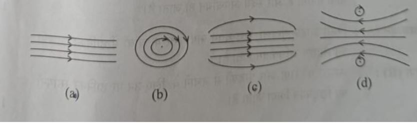 CBSE Class 10 Science Answer Key 2024 (All Sets): Check All Answers ...