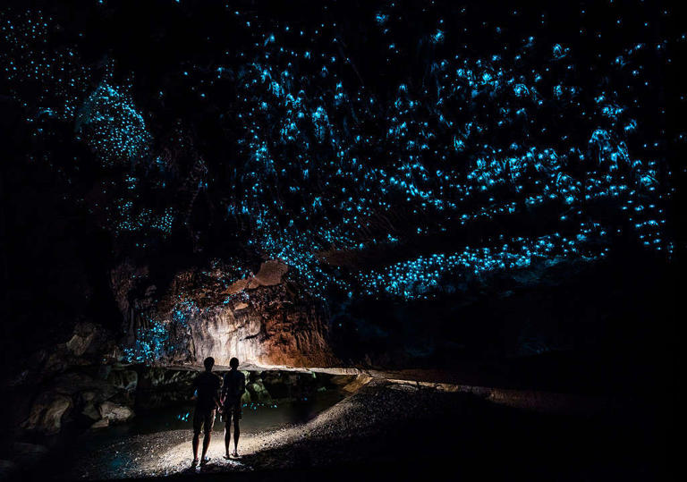 Learn About The Amazing Waitomo Glowworm Caves In New Zealand