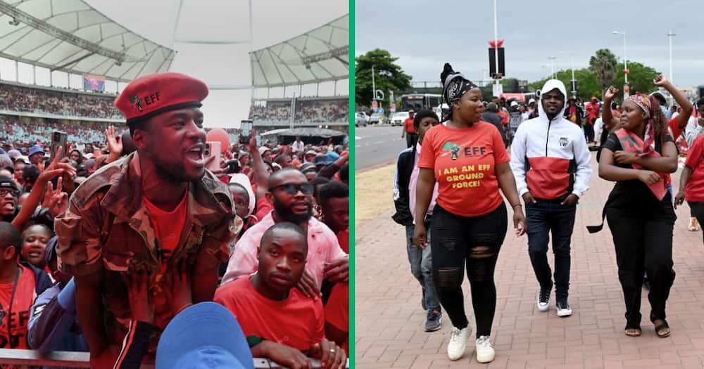 the eff is aiming for a majority victory in gauteng for the elections