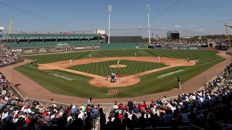 Nationals prospect stretchered off field after flipping over fence in ...