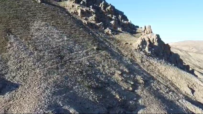 tarihi palu ilçesinde gezen dağ keçileri dron ile görüntülendi