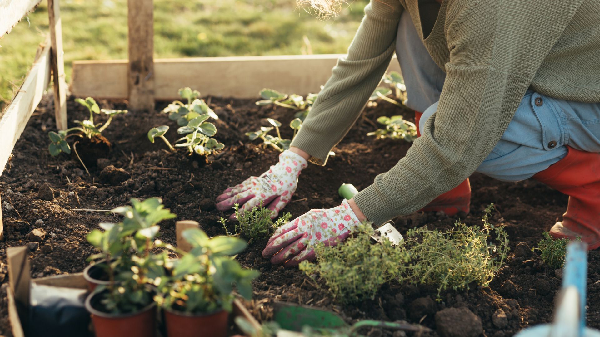 How To Use Coffee Grounds In Your Garden – 3 Ways To Benefit Plants And ...