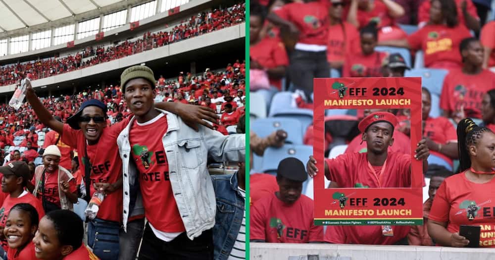 this is how the eff is planning on creating new jobs for gauteng residents