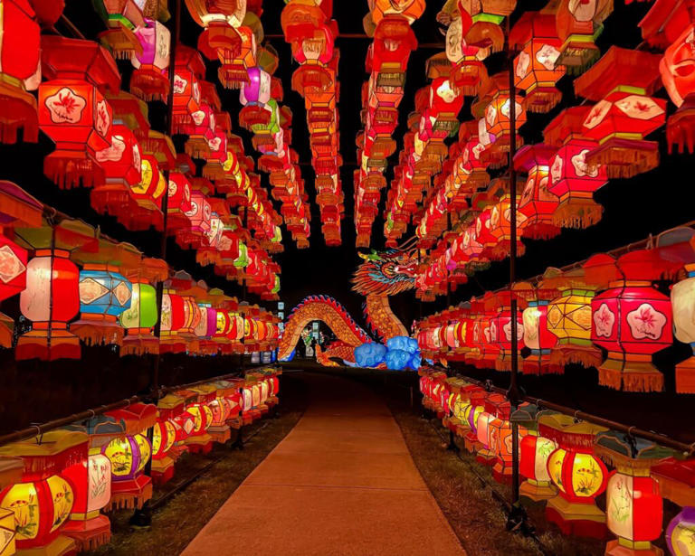 Grand Rapids Lantern Festival Returns To John Ball Zoo