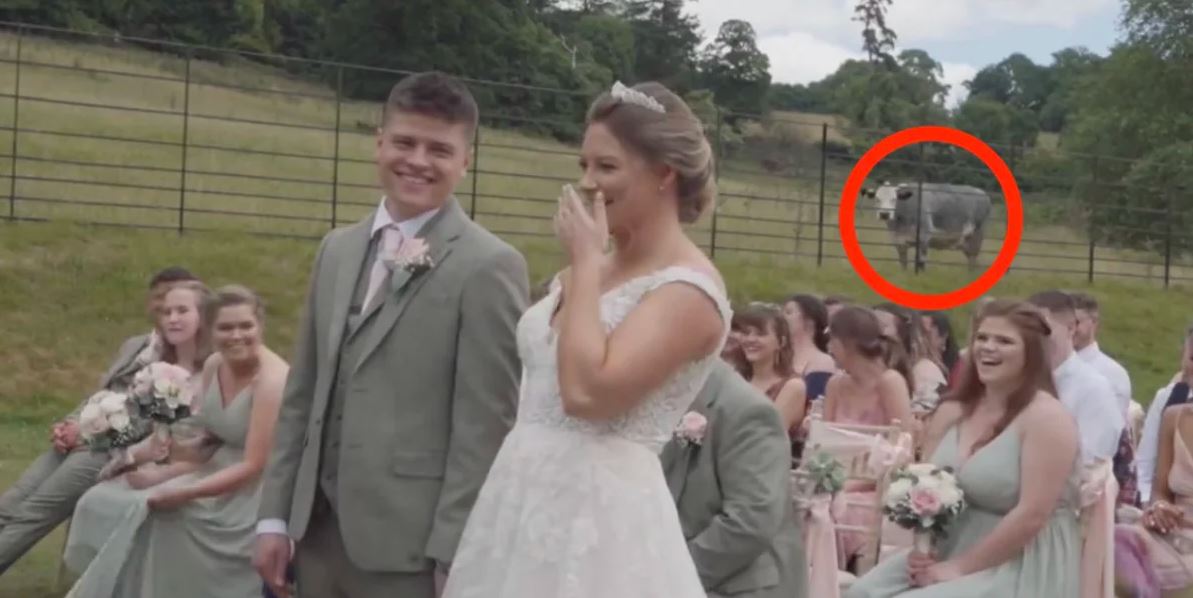 ο απρόσκλητος επισκέπτης σε γάμο: σε γέλια ξέσπασε το ζευγάρι – δείτε το βίντεο