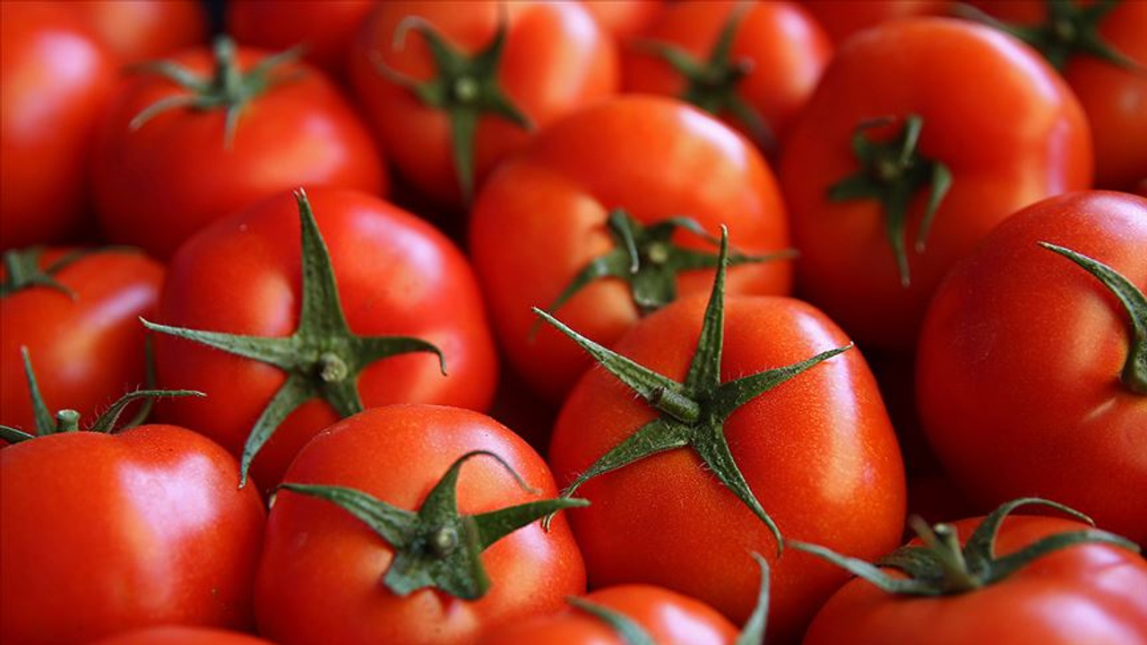 son 6 yılda büyük değişim: domates fiyatları rekor kırdı