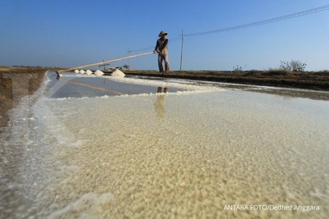 pemerintah buka keran impor garam 2,4 juta ton, begini respon asosiasi petani garam