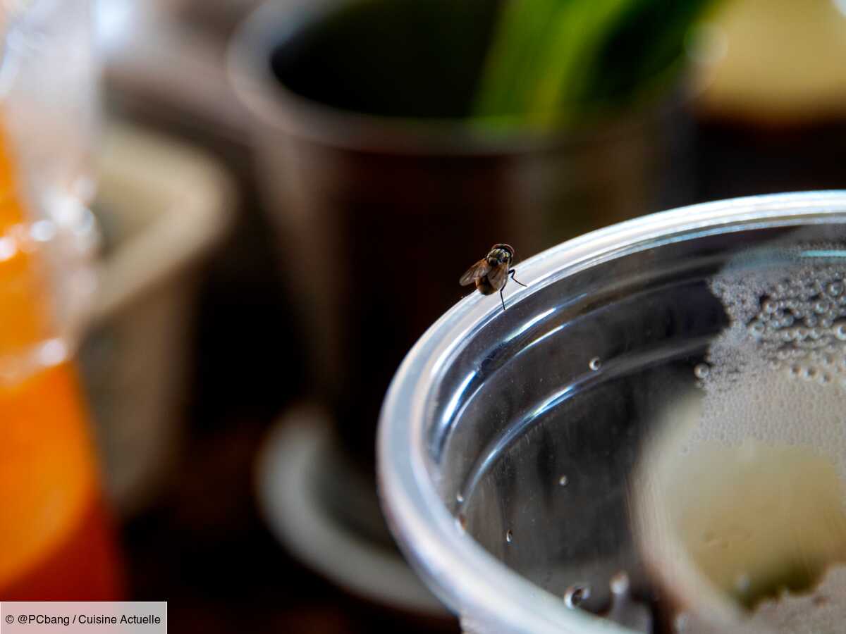 comment éloigner les mouches dans la cuisine ?