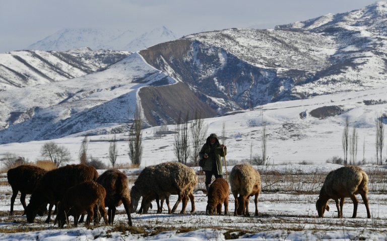 artificial glaciers stave off drought in kyrgyzstan