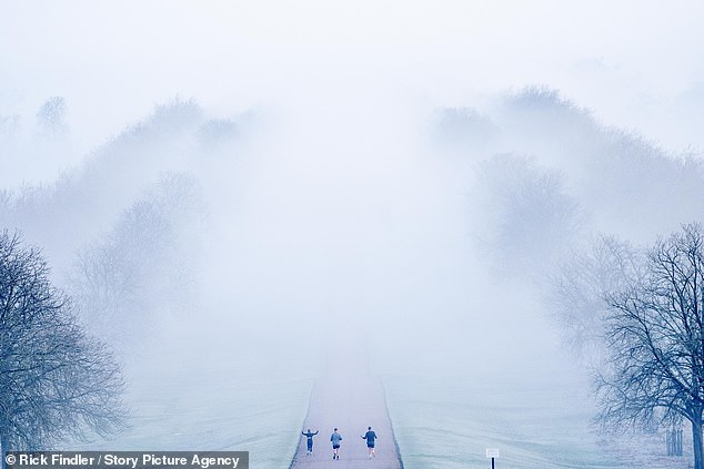 uk weather: windsor wakes up to frost and fog as first days of spring are hit by -7c arctic deep freeze