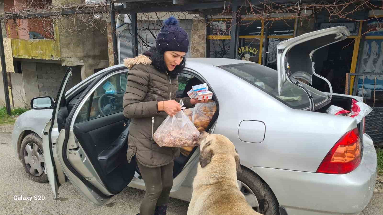 sokak hayvanlarını 5 yıldır gönüllü besliyor
