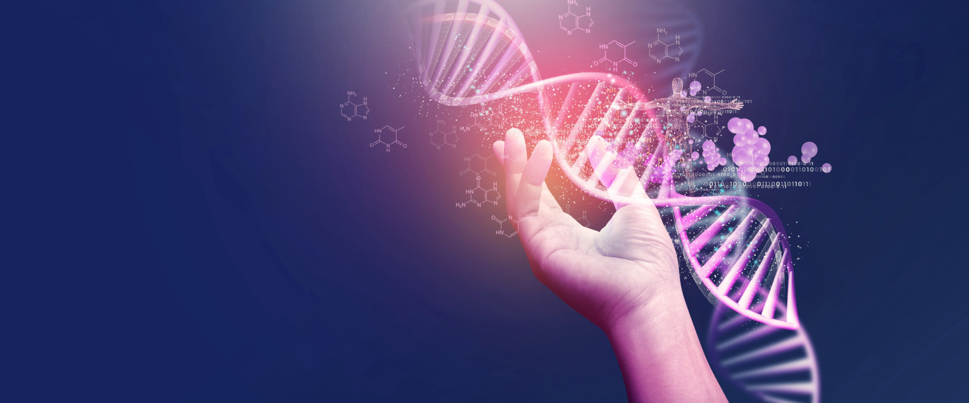 <p>Genomics analyzes and decodes an organism's complete set of DNA. It unveils genetic information, guiding advancements in personalized medicine, disease prevention, and understanding the fundamental building blocks of life.</p><p>You may also like:<a href="https://www.starsinsider.com/n/220053?utm_source=msn.com&utm_medium=display&utm_campaign=referral_description&utm_content=635781en-en"> Unprofessional stars involved in spats at work</a></p>