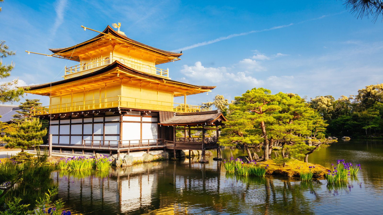 <p>Japan’s blend of ancient traditions and cutting-edge technology makes it a fascinating destination for Americans wanting to immerse themselves in a unique cultural experience.</p>