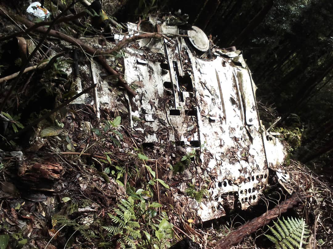 world war two plane that crashed 80 years ago found in forest