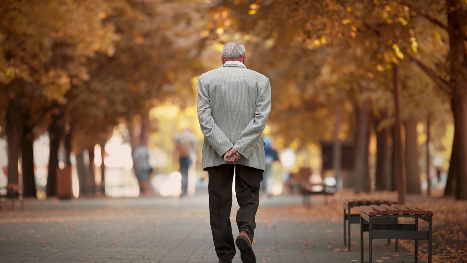 <p>Men over 60 who have just retired suddenly find themselves with a lot of time on their hands. They want to spend as much of it as possible with their families, but they could still be busy working. Because they are spending time alone that they imagined they would spend with their children, they feel lonely.</p>