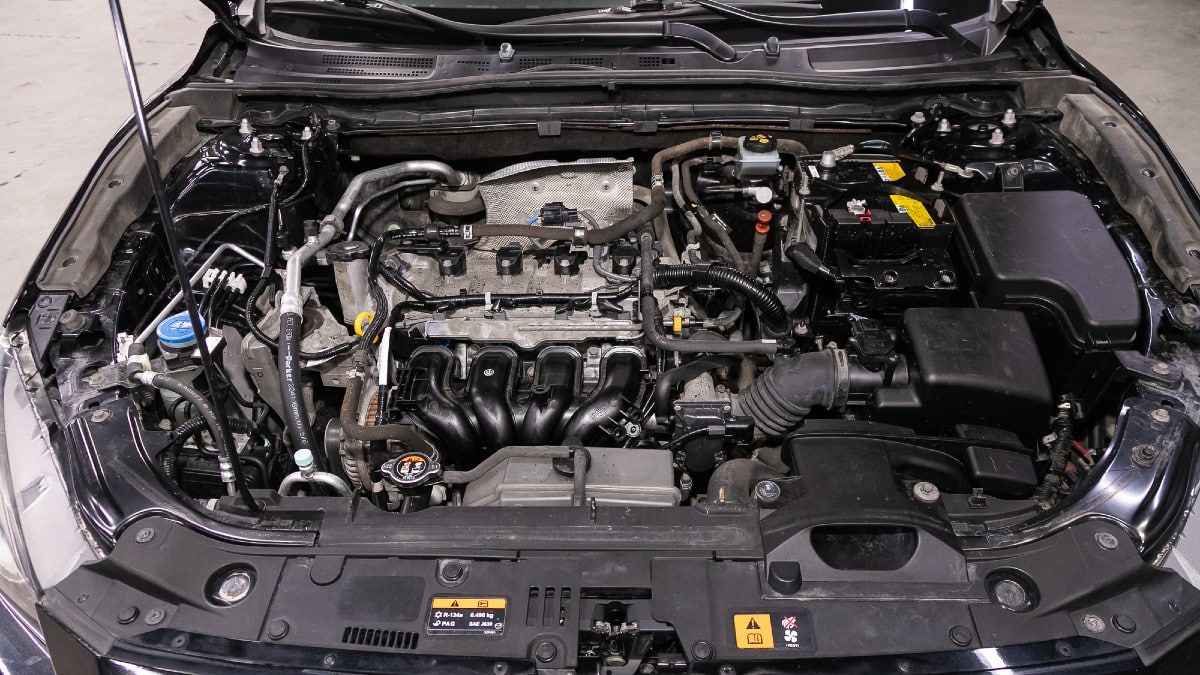 <p><span>Cars, like humans, shouldn't leak fluids. If it's marking its territory with oil or coolant, it's a no-go.</span></p>