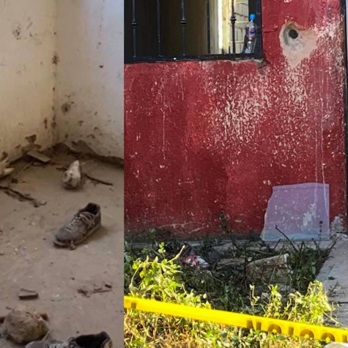 video: hallan restos humanos dentro de tambo con cemento en el patio de una casa en jalisco