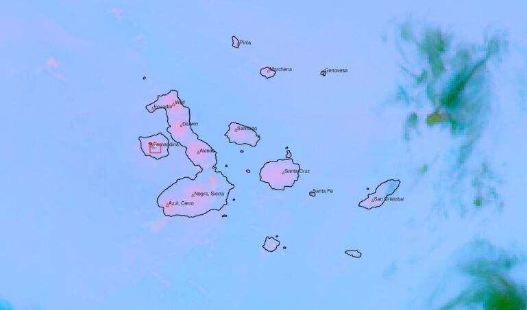 impactantes imágenes del nuevo proceso de erupción del volcán la cumbre en isla fernandina, en galápagos