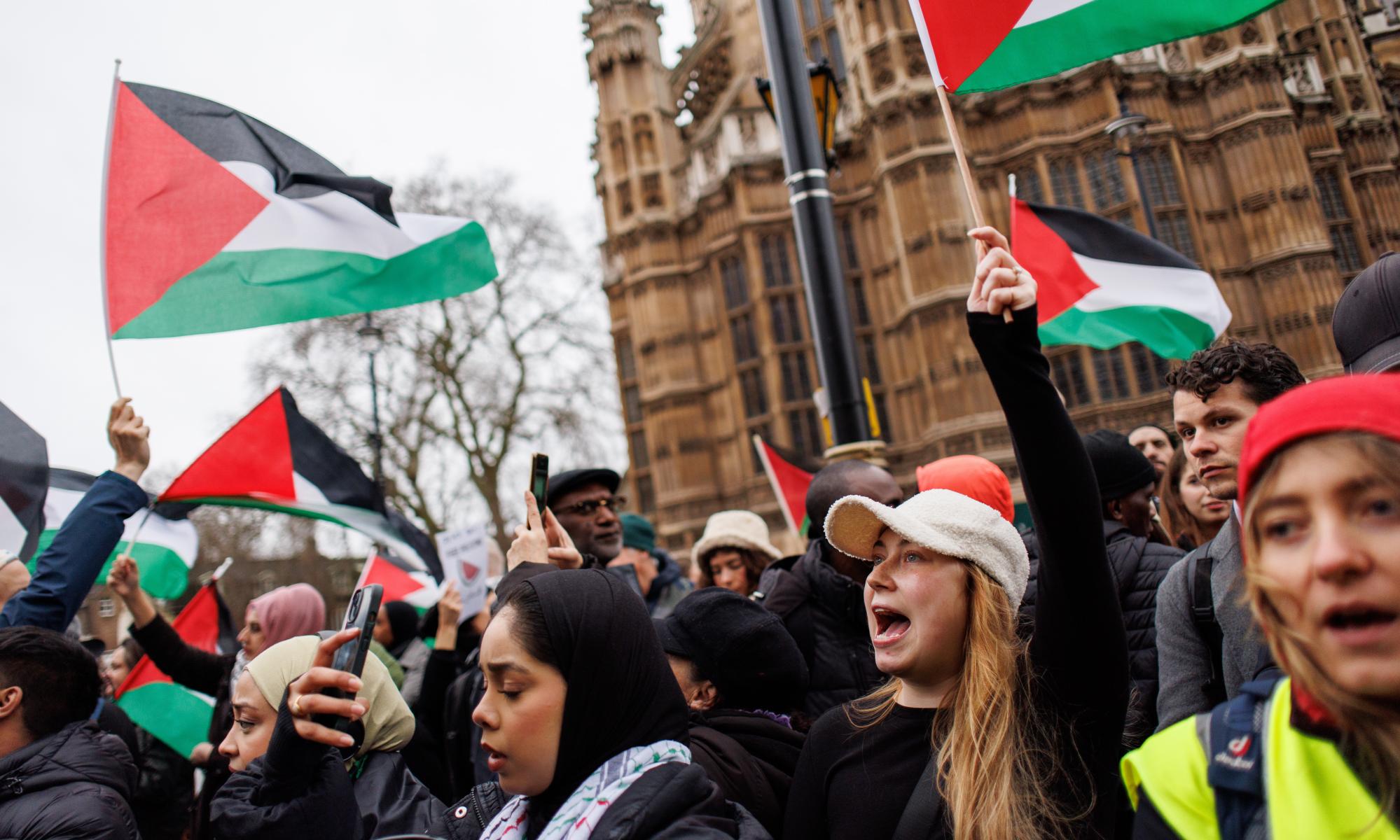 ministers consider ban on mps engaging with pro-palestine and climate protesters