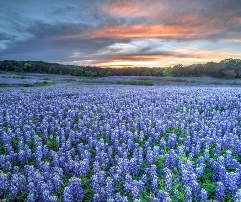 Love the outdoors? Here are the best places to visit in Texas if you want to reconnect with nature.
