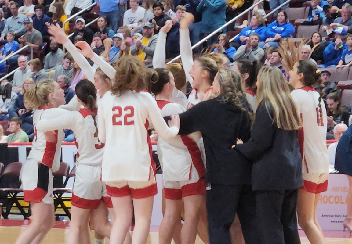 android, pennsylvania (piaa) girls basketball brackets: matchups, game times for 2024 state tournament