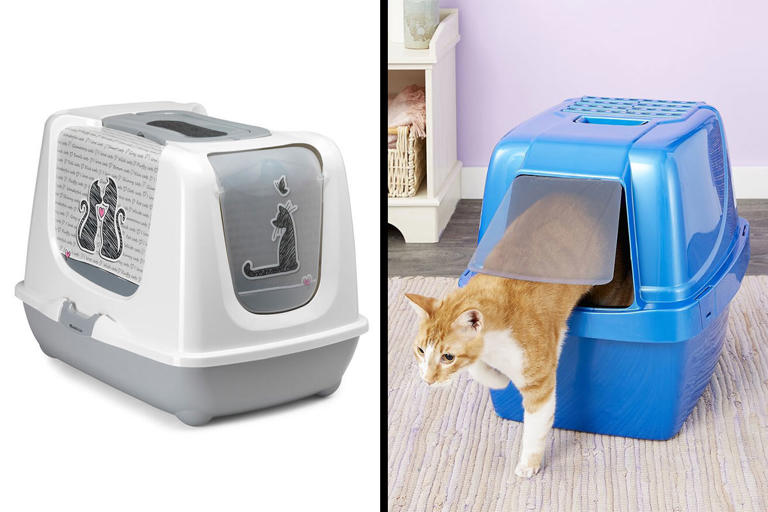 10 Best Cat Litter Boxes of 2024