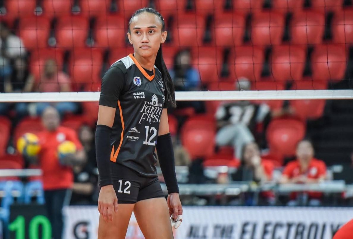 foxies show resilience in first two pvl games