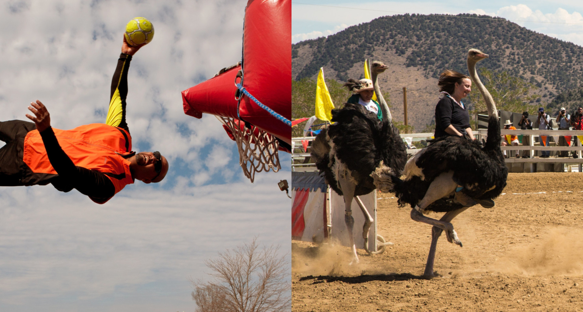 The Most Obscure Sports Around The World That You've Probably Never ...