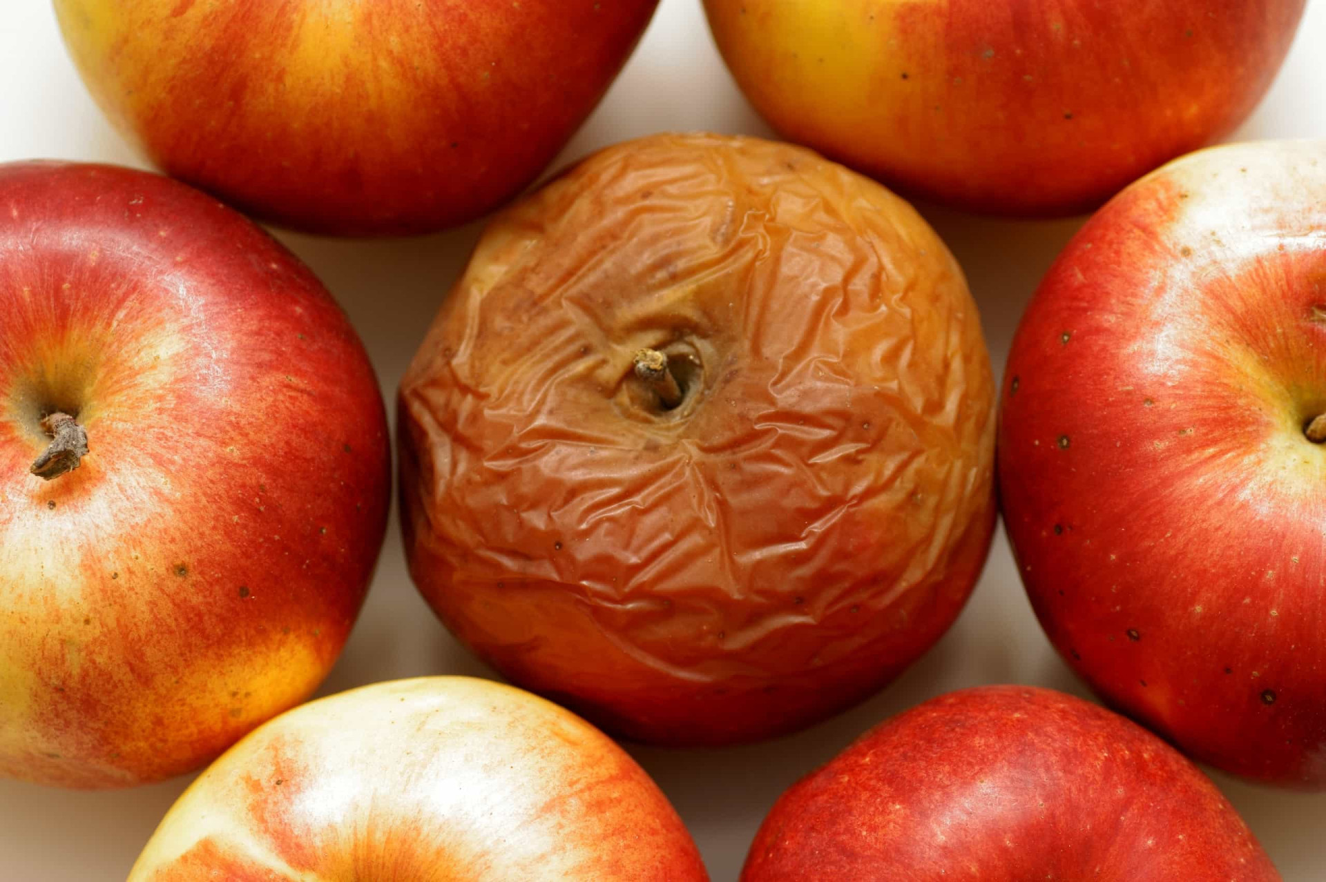 Transformez votre cuisine avec ces recettes irrésistibles à base de pommes