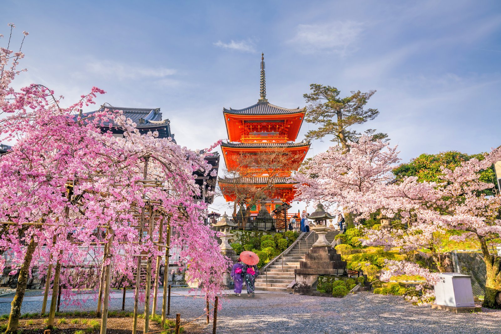 <p>Discover the serene beauty of ancient temples and traditional tea houses in Kyoto.</p>
